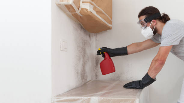 Professional Mold Remediation technician working in Fuquay-Varina, NC