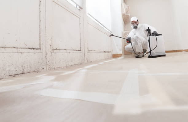 24/7 Emergency Mold Remediation experts in Fuquay-Varina, NC