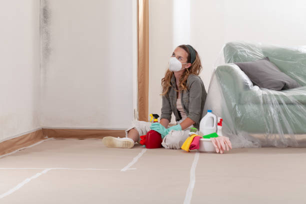Reliable Mold Remediation contractor in Fuquay-Varina, NC by Cheap Mold Removal