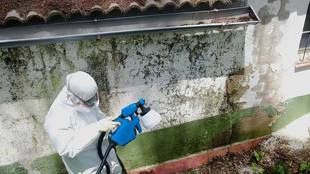 Top rated local Mold Remediation specialists in Fuquay-Varina, NC